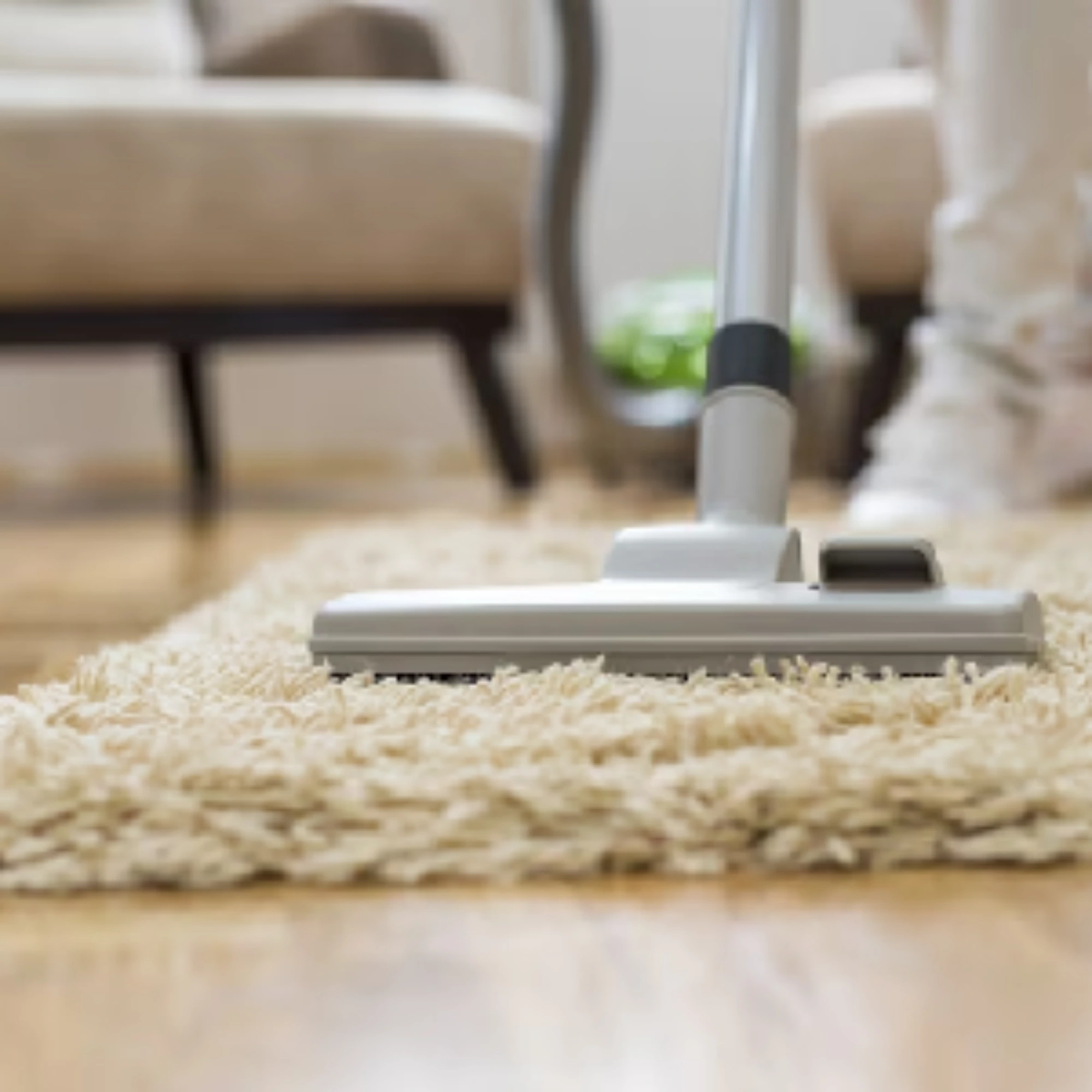 Carpet Cleaning Services