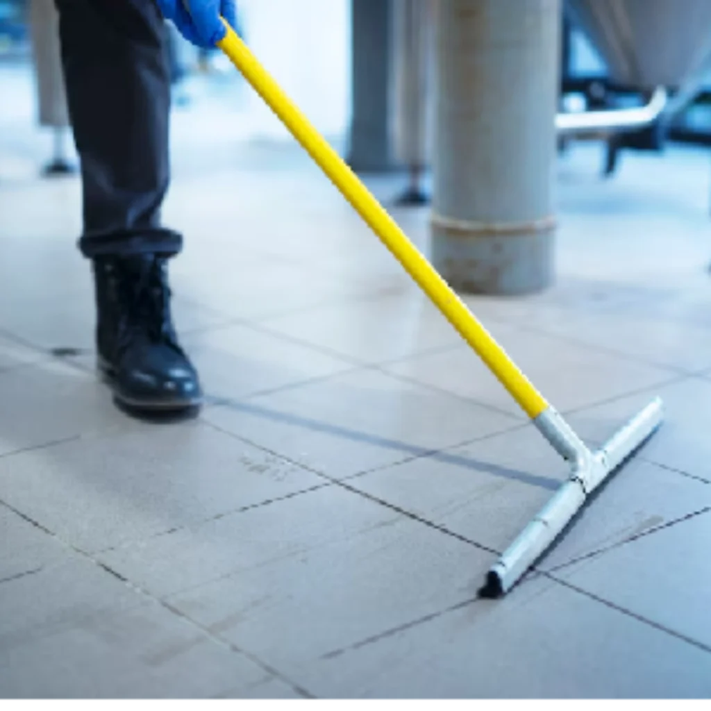 Professional Hard Floor Care